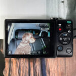 Canon IXUS 135 | 16 megapixel digital camera 📸 - Image 9