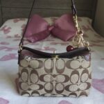 Bundle Of 2 Vintage Coach Y2K Brown Black Gold Hardware Signature Cs Mini Bag Shoulder Purse💜🍇 - Image 19