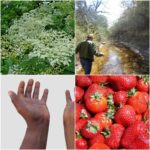 Used Canon CyberShot H90 Digital Camera - Image 6